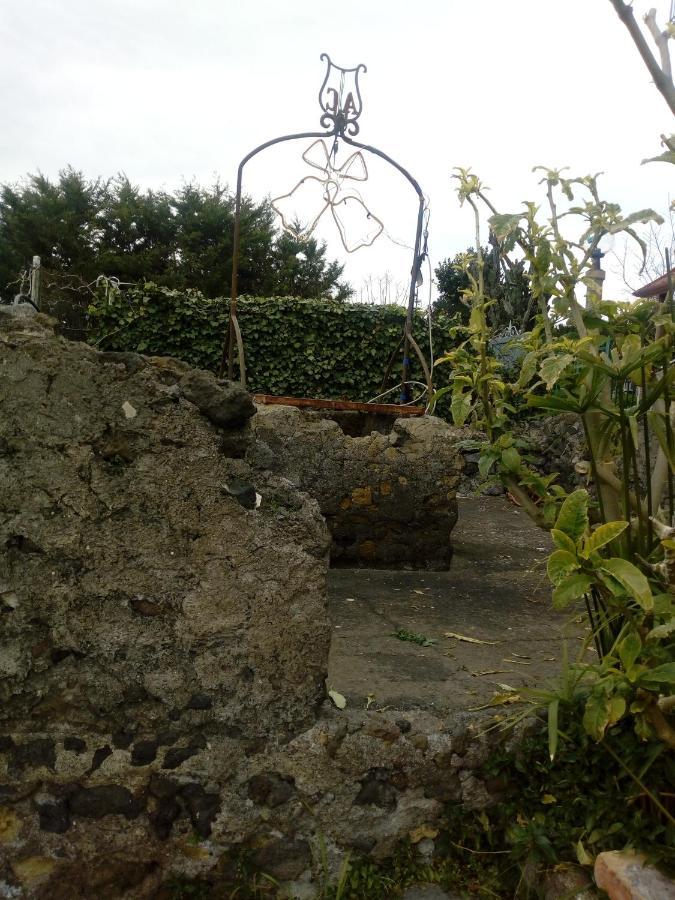 Casa Vacanze Da Rosy Ercolano Dış mekan fotoğraf