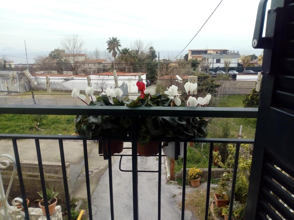 Casa Vacanze Da Rosy Ercolano Dış mekan fotoğraf
